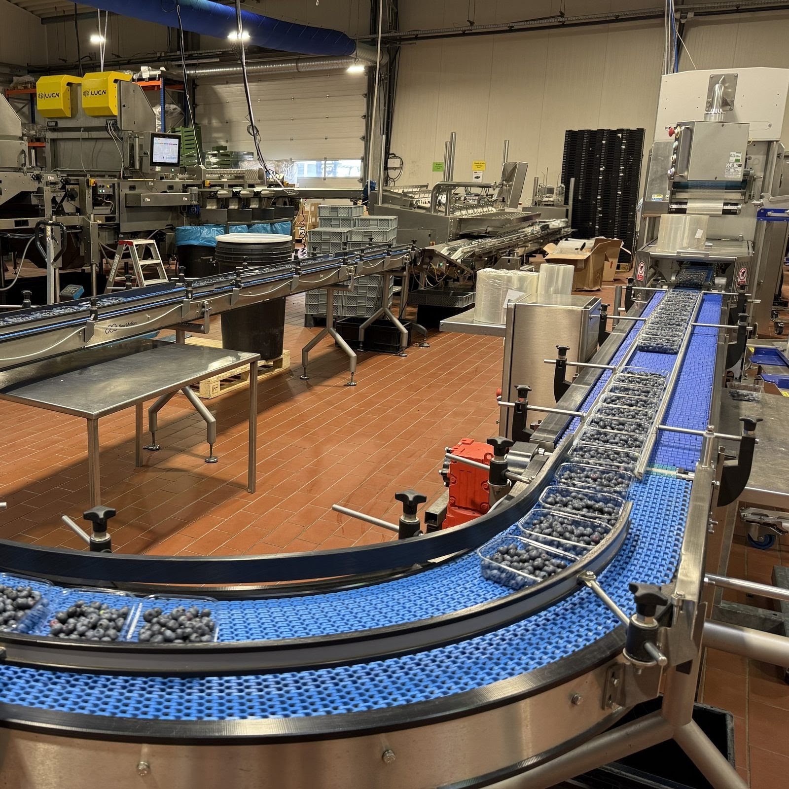 Produktionshalle mit laufender Linie